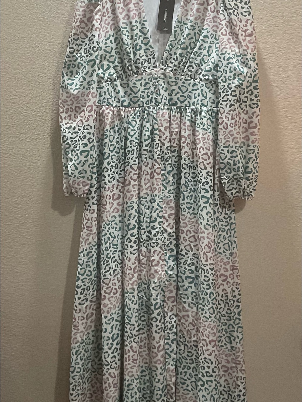 Charming Pastel Leopard Maxi Dress in Mint & Blush